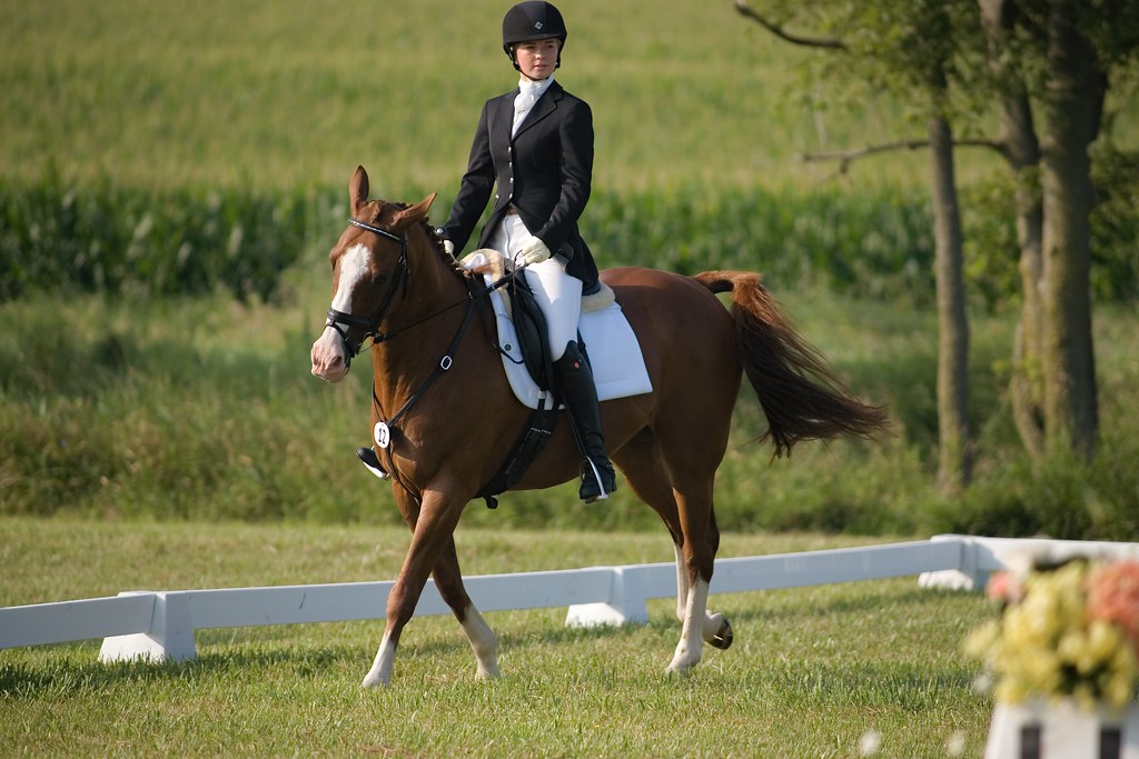 Dressage portraits from Catalpa Corner Horse Park's Augus… Flickr