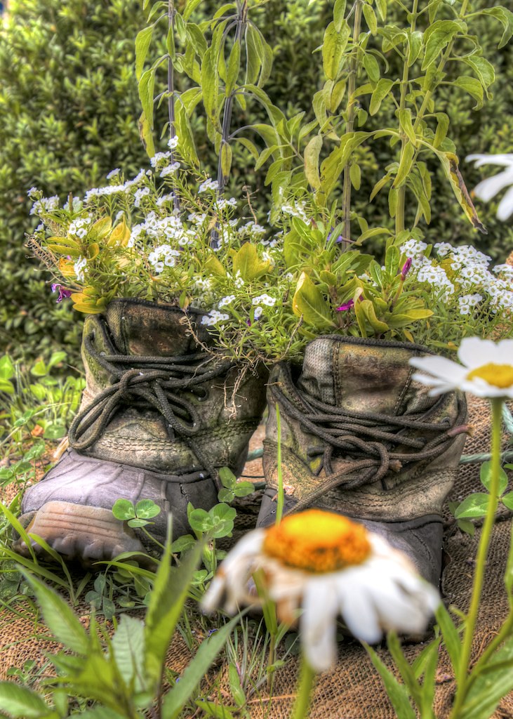 boot flowers with a green thumb, flowers can grow anywhere… Flickr