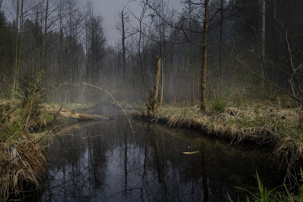 Moor This swamp only spreads over a very small part of the… Flickr