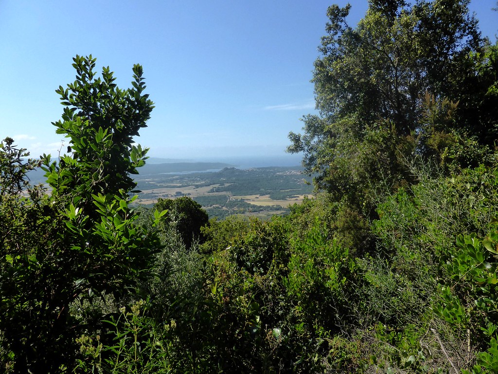Corse1406030009 Vue de la baie de Figari depuis le sentier… Flickr