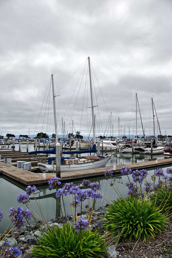 2014 San Leandro Marina San Leandro Marina, California Flickr