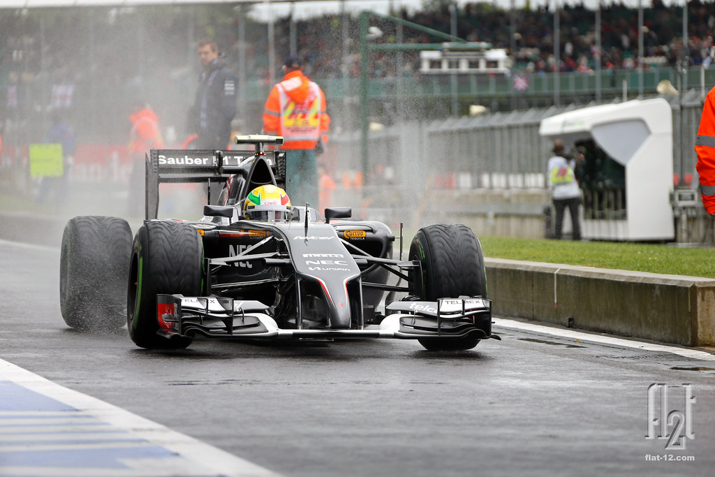 Esteban Gutierrez FP3, 2014 British Grand Prix, Silverston… Flickr