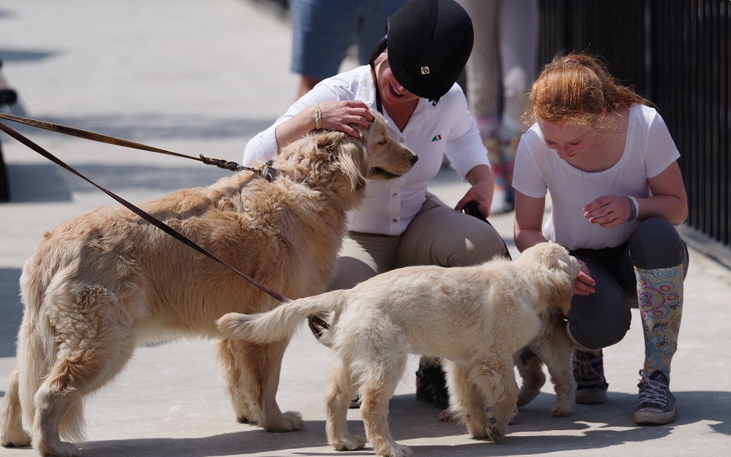 Tryon Spring A April 201714 skymatthews Flickr