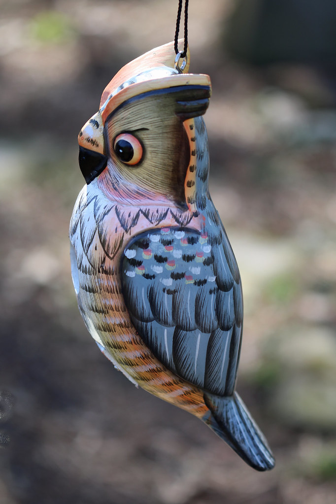 Wooden Owl Decoration Hank Bickel Flickr