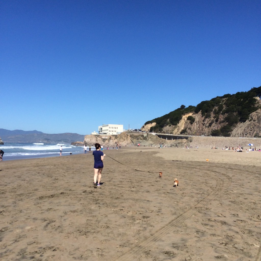 Flickriver Photoset 'Salty Sea Dog' by mntrb