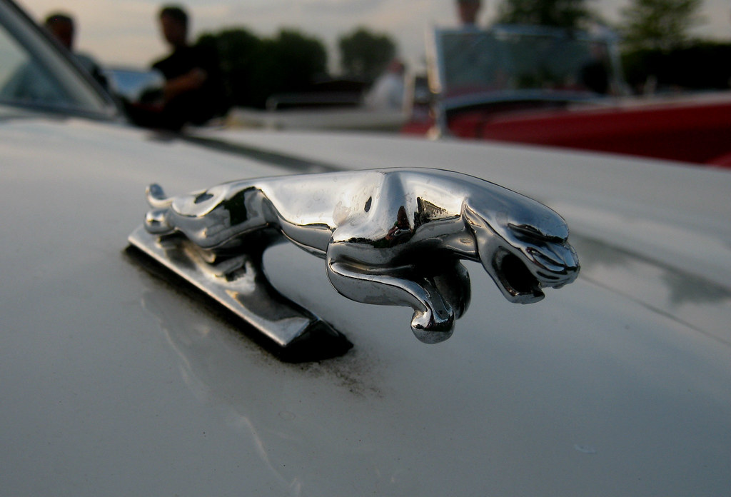 Jaguar This is the leaping cat hood ornament on a older Ja… Flickr