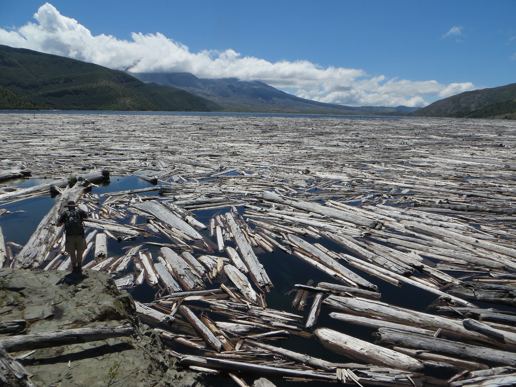 how long will a log float? These logs have been here since… Flickr