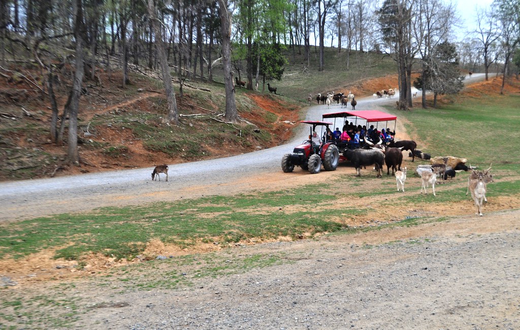 Virginia Safari Park, Natural Bridge, Va., April 2014 Flickr