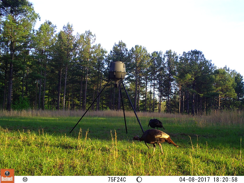 04080798 M2E61L182182R399B400 Harper Farms Flickr