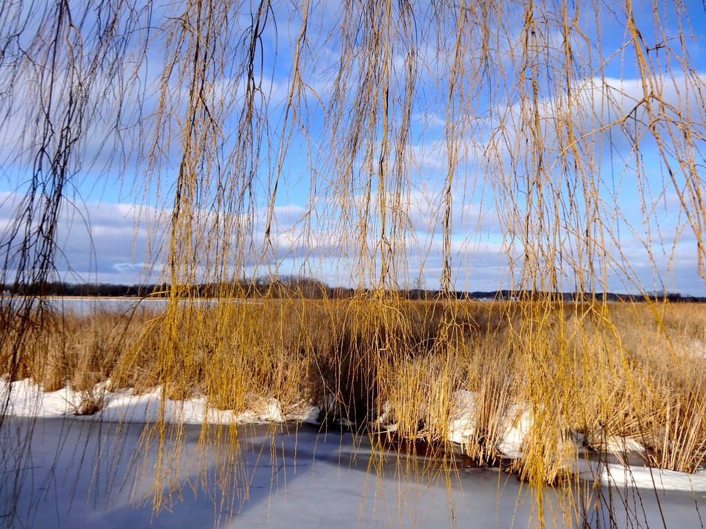 Baw Beese Lake, Hillsdale Michigan Daniel X. O'Neil Flickr