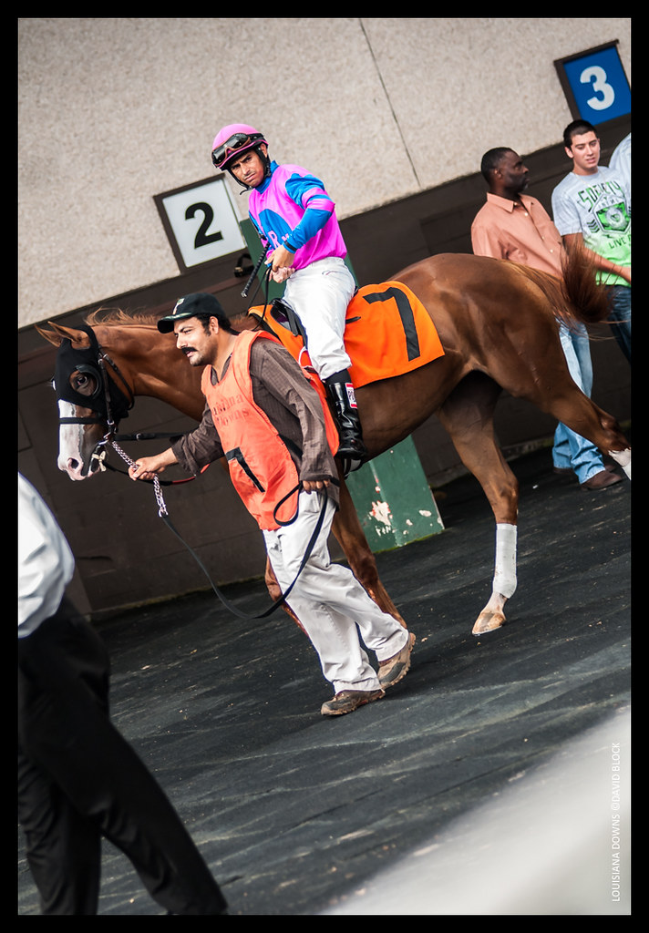 Louisiana Downs Louisiana Downs Photo by David Block David Block