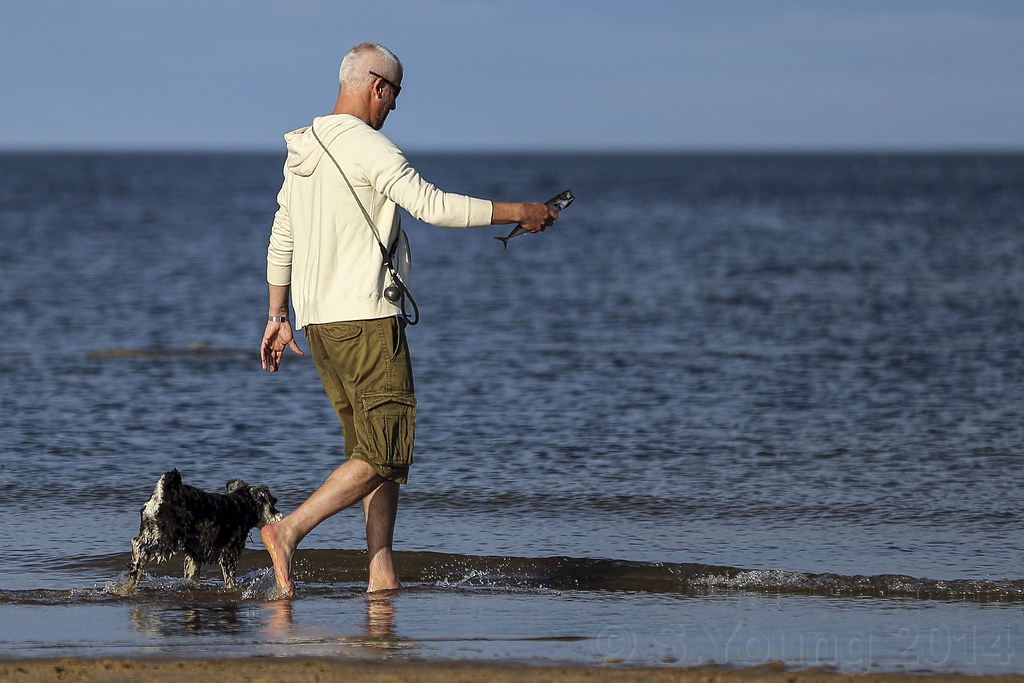 Man taking his fish for a walk This kind man found a mackr… Flickr