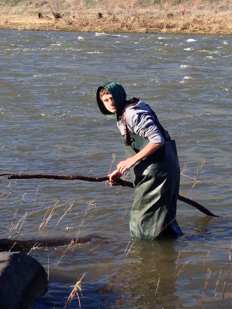 image Lorena Woods Flickr