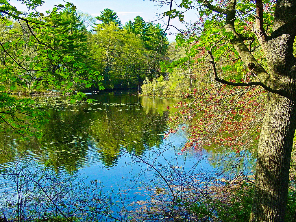 Pond Scene HDR N. Grafton, MA Bill Dussault Flickr
