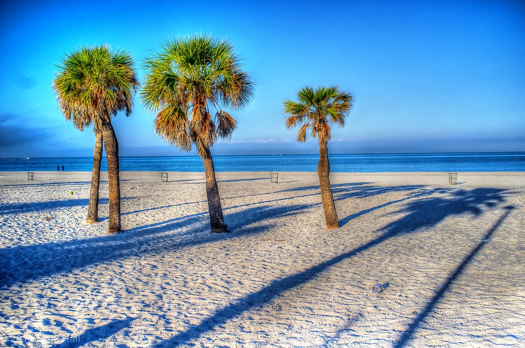 Elevation of Cypress Point Dr W, Clearwater, FL, USA Topographic Map