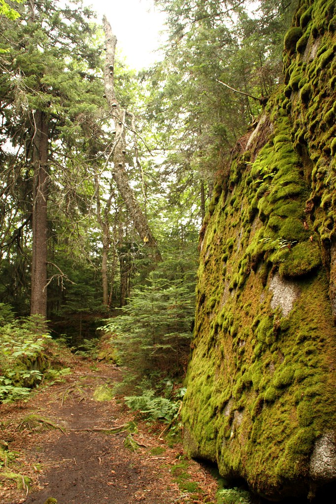 Parc national du MontTremblant Sentier du Centenaire (Sec… Flickr