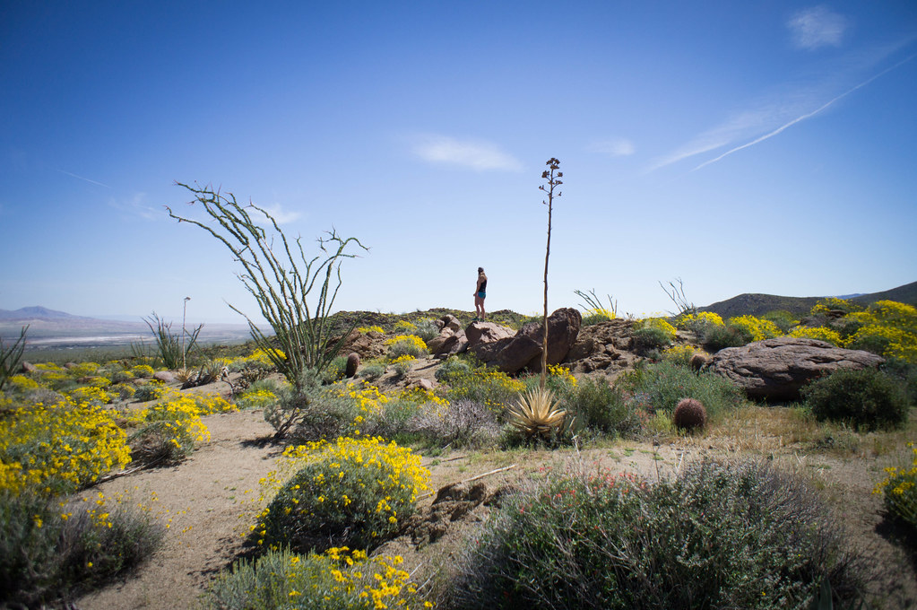 Glorietta Canyon Tracy takes it all in mrsymphs Flickr