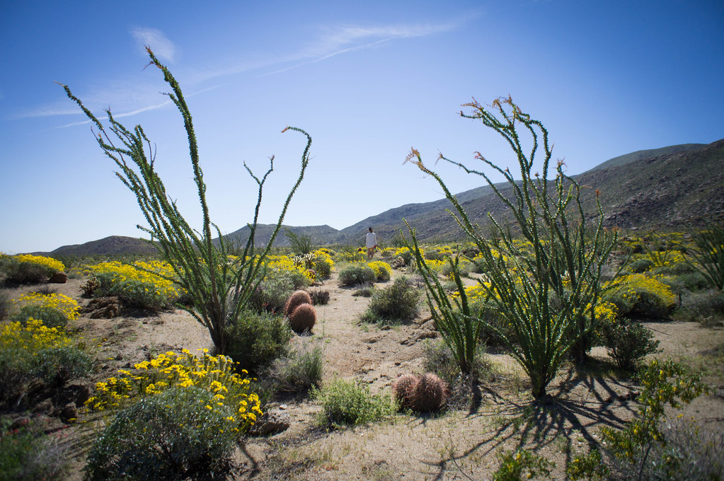 Glorietta Canyon Sarah, the car is this way! mrsymphs Flickr