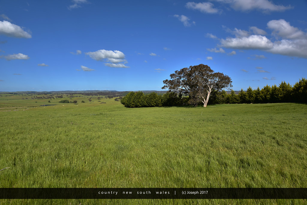 Country New South Wales DSC_7720c Joseph D Flickr