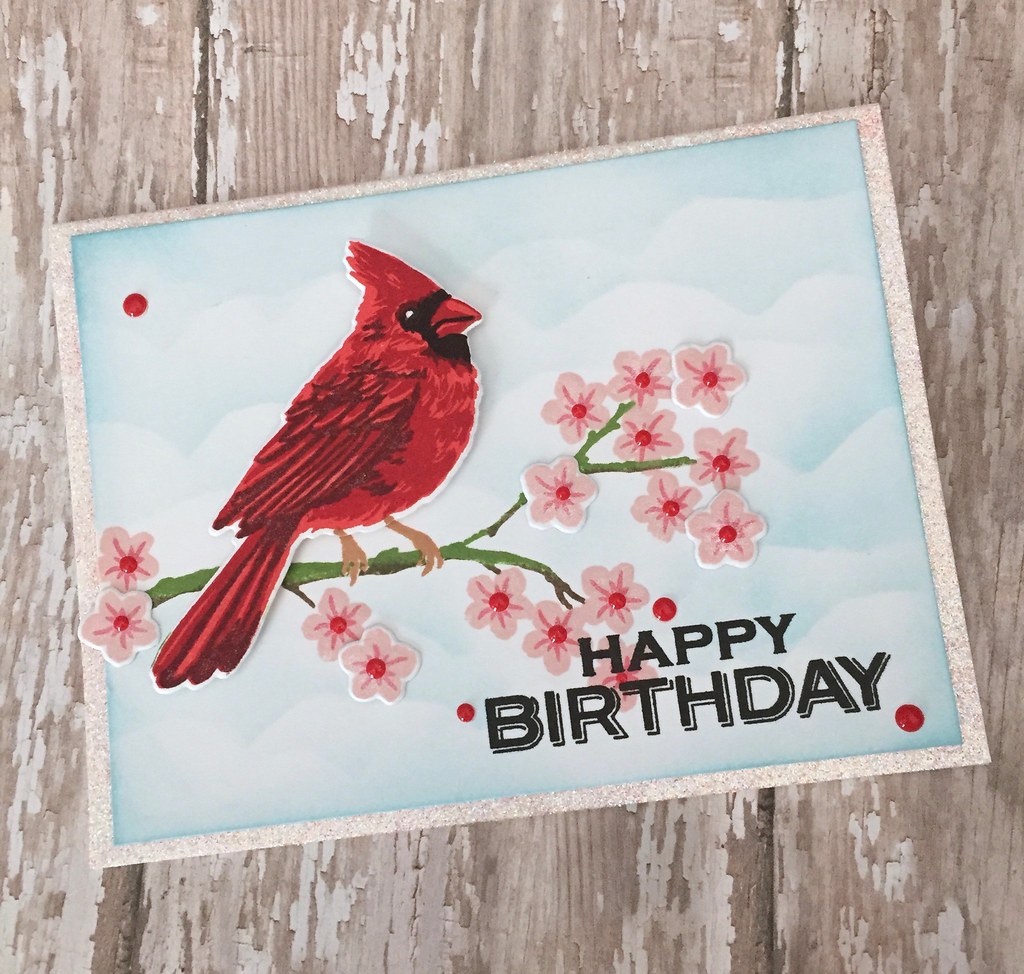 Happy Birthday Red Cardinal Images Carports Garages
