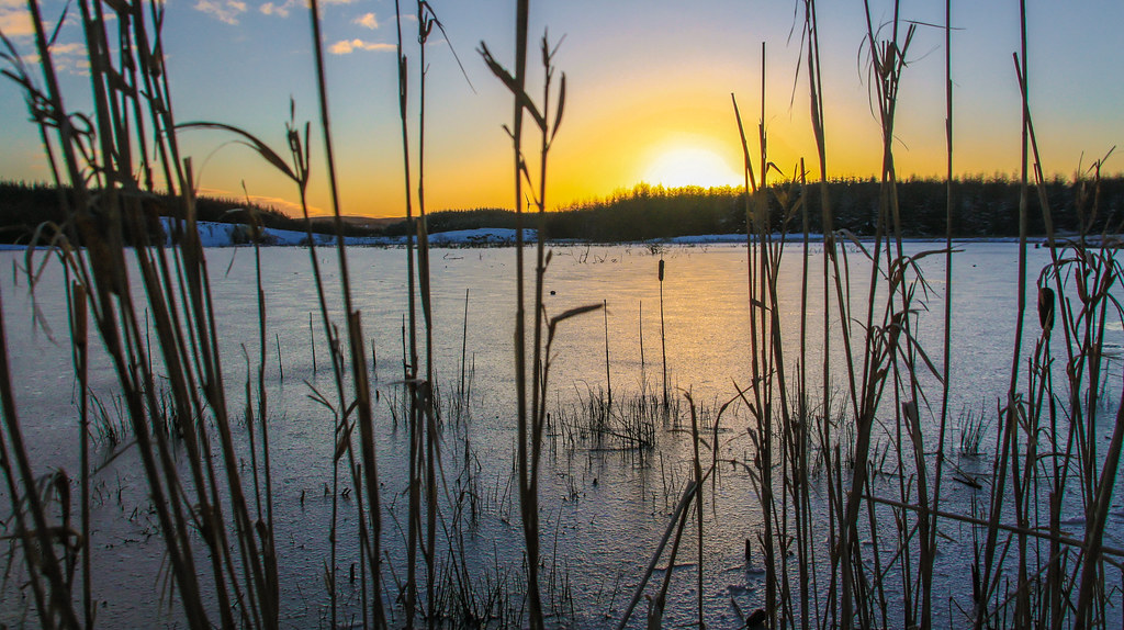 Elevation of Manor Ave, Kilmarnock KA3 1TS, UK Topographic Map Altitude Map