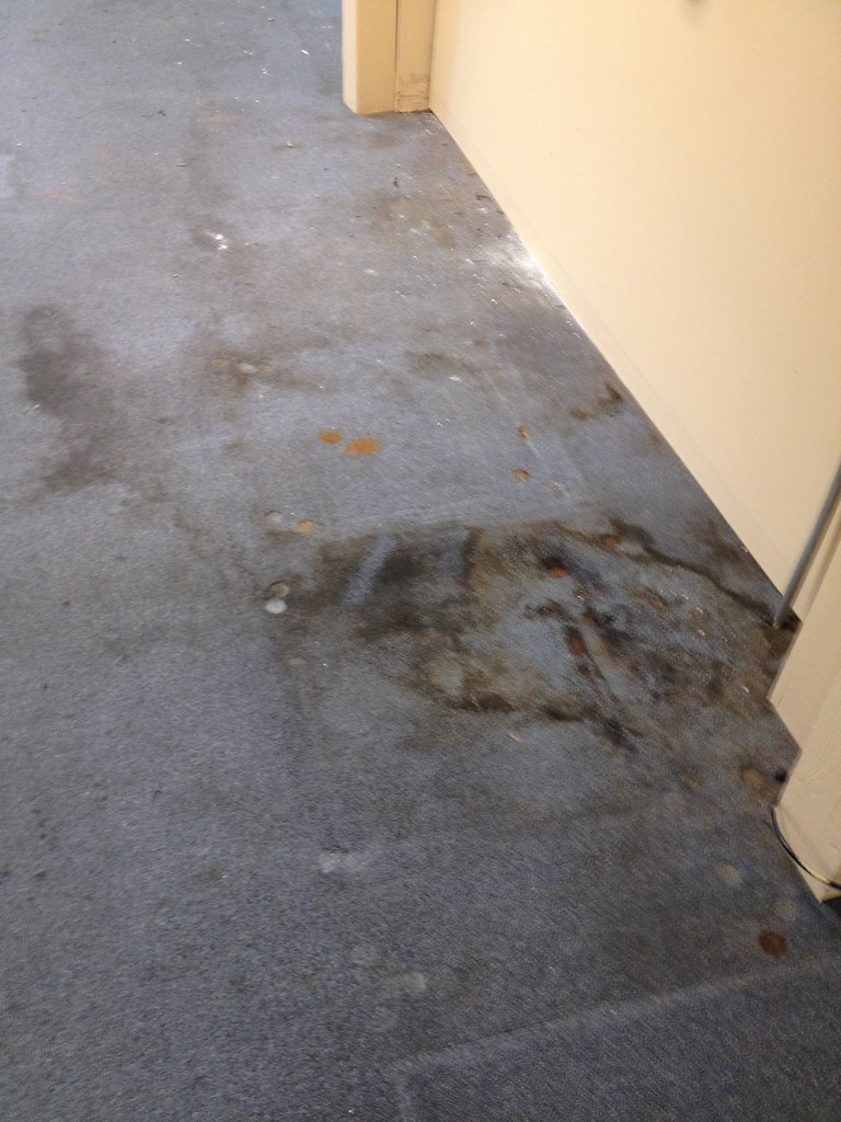 Music City Carpet Cleaning Nashville TN Music City Carpet Cleaning