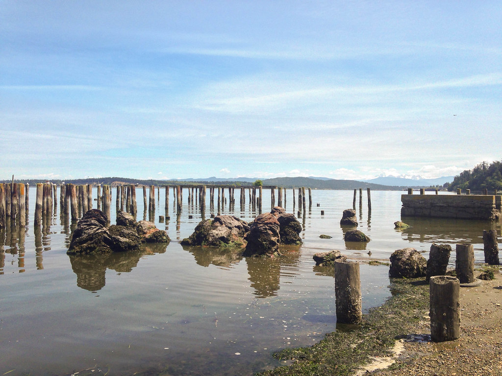 Shaw Island Camping Flickr