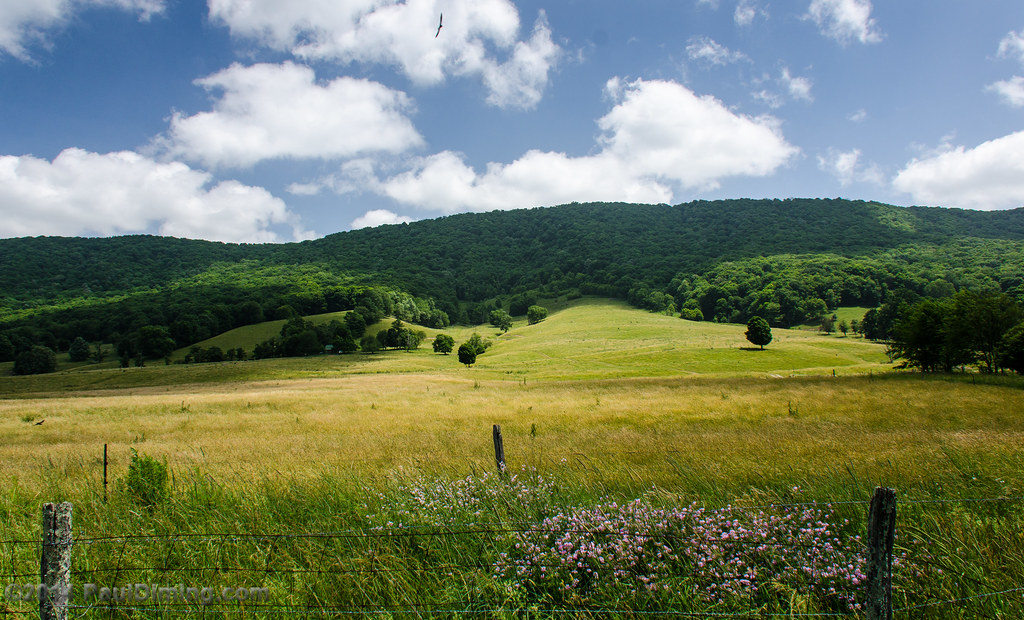 Elevation of Roaring Fork Road, Roaring Fork Rd, Southern, VA, USA