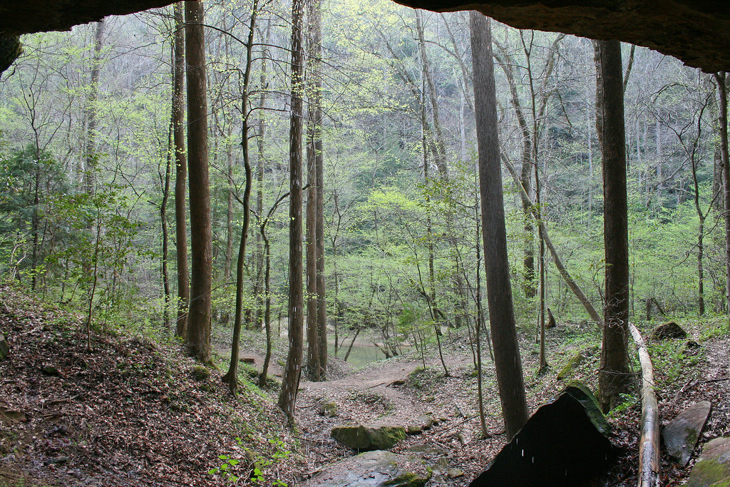 Behind the Waterfall, Sipsey River Trail, Bankhead Nationa… Flickr