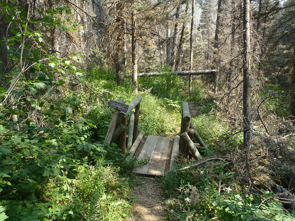 Rock Creek Trail312.jpg OLYMPUS DIGITAL CAMERA Flickr