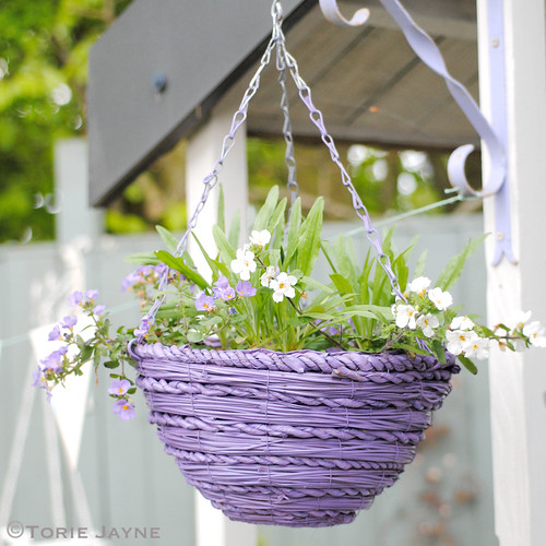 Spray painted hanging basket Blogged at Torie Bl… Flickr