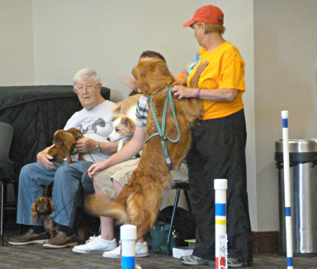 Scott County Kennel Club The Scott County Kennel Club did … Flickr