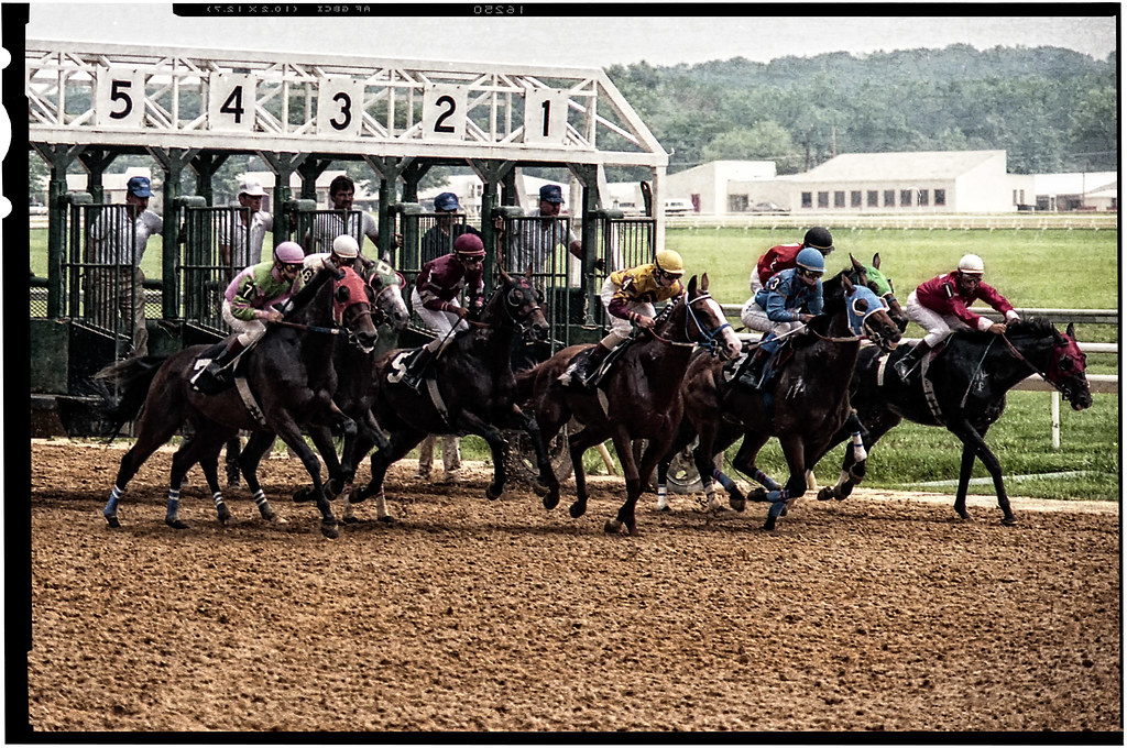 Horse Race Starting Gate Mike Boswell Flickr