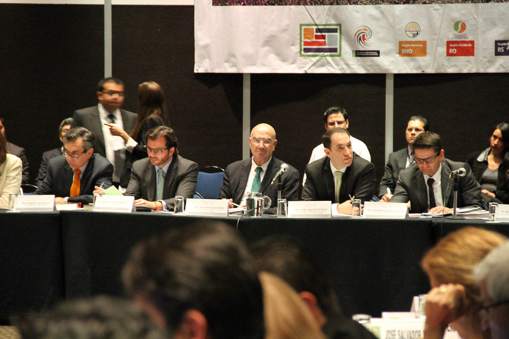 III Sesión Ordinaria del Consejo Consultivo Nacional para el Desarrollo