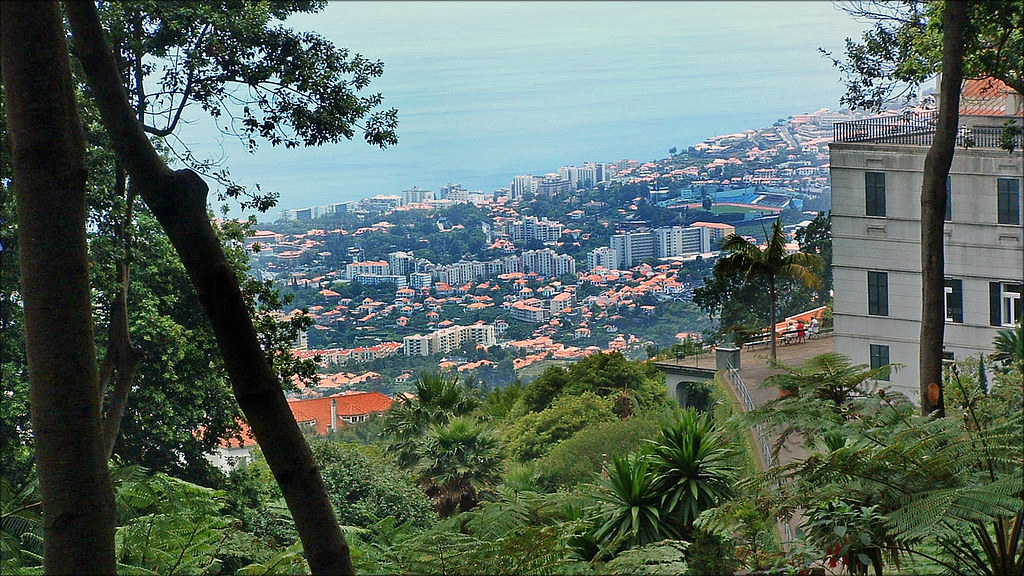 Funchal, Madeira A view of part of Funchal, Madeira taken … Flickr