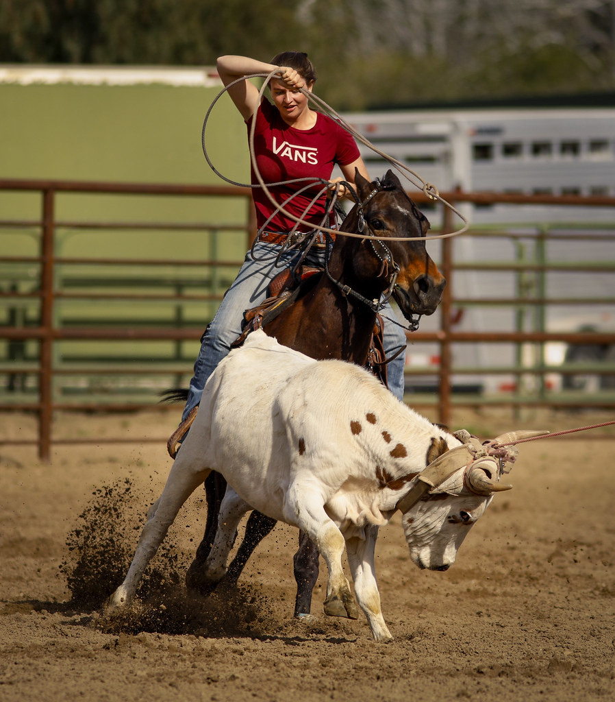 CP Rodeo Prac The Cal Poly rodeo team practices for the up… Flickr