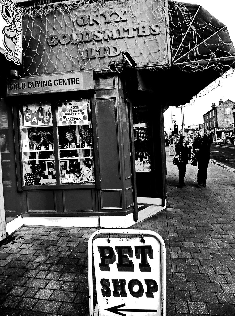 Pet shop Nottingham Susana Fernandez Flickr