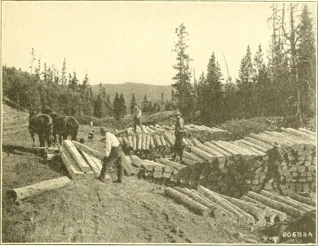 Image from page 14 of "The United States Forest service" (… Flickr