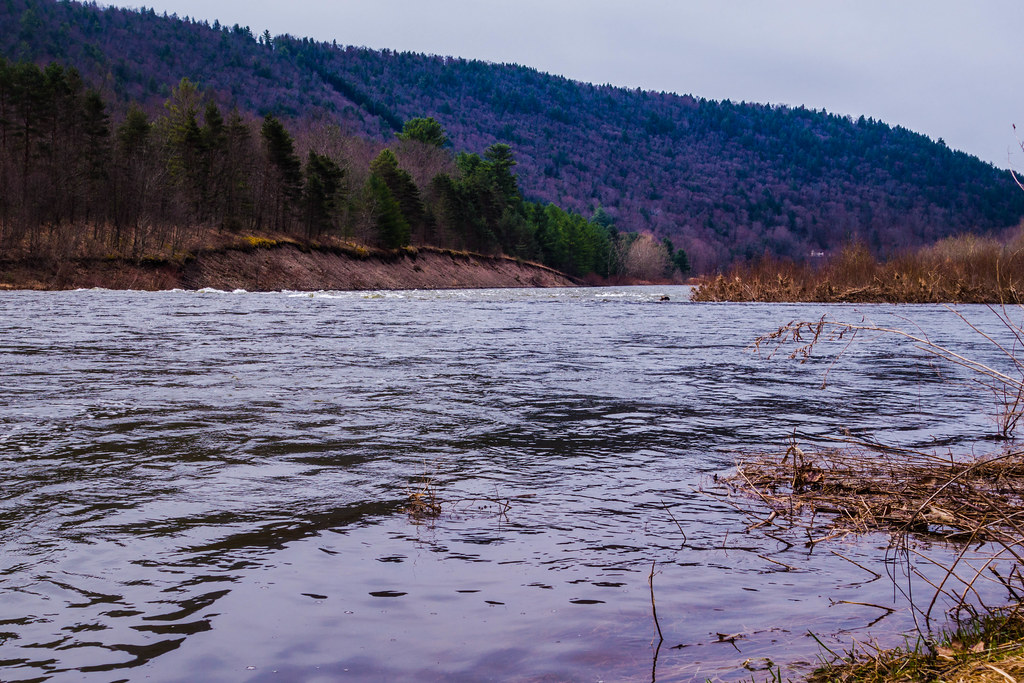 Spring Thaw West Branch Delaware River, High Water East o… Flickr