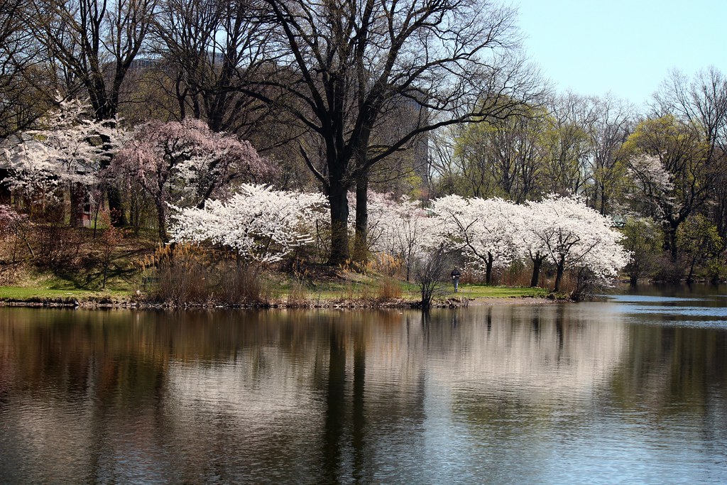 Bound Brook Park a photo on Flickriver