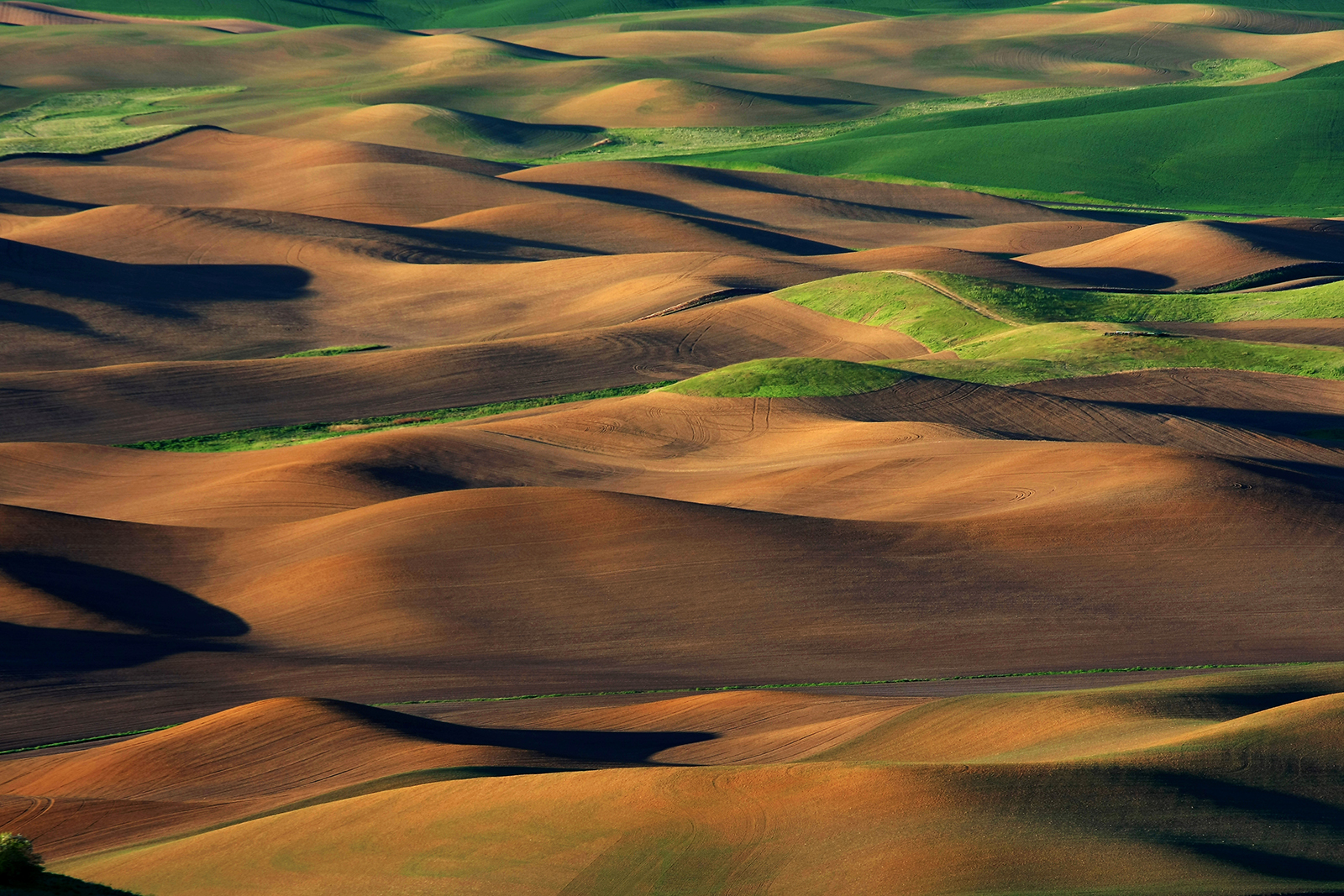 Palouse Flickr