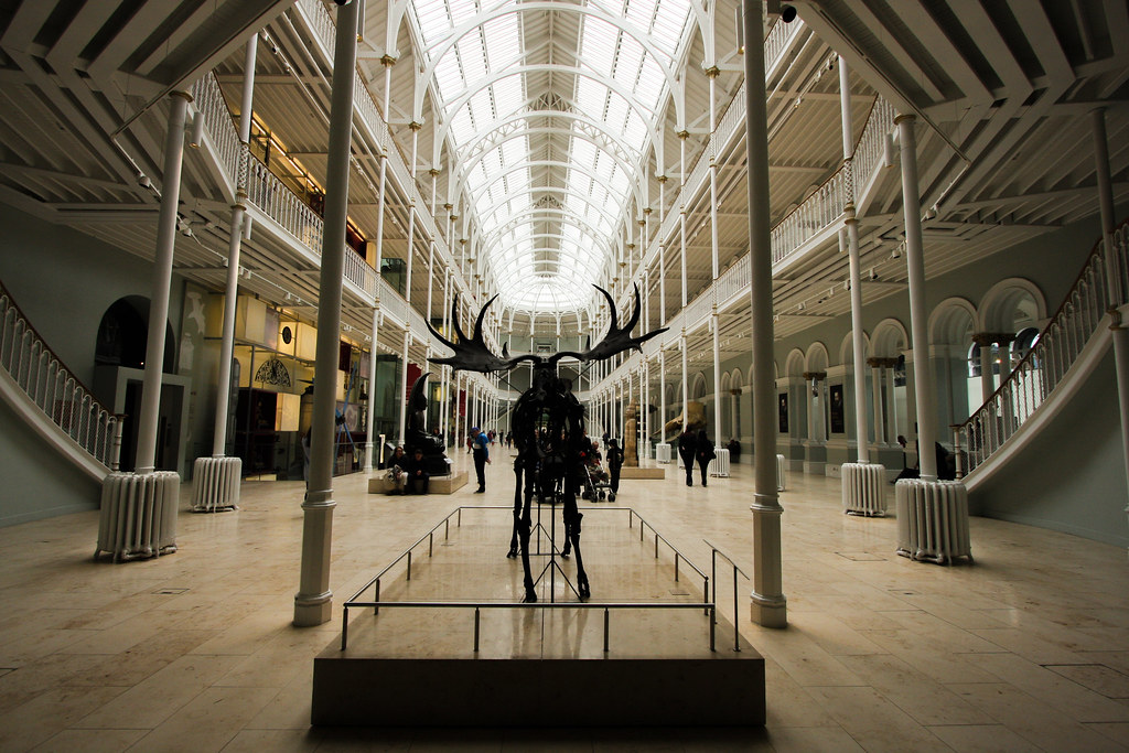 IMG_0654 Grand Gallery, National Museum of Scotland, Edinb… Flickr