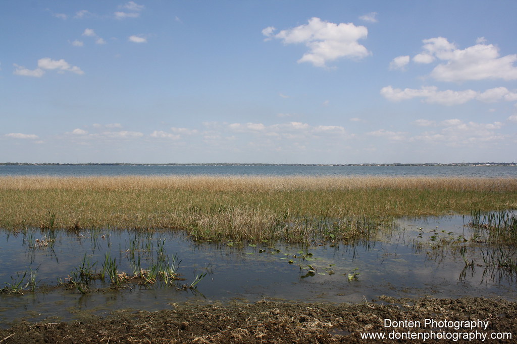 Lake June in Winter Scrub State Park Lake June in Winter S… Flickr