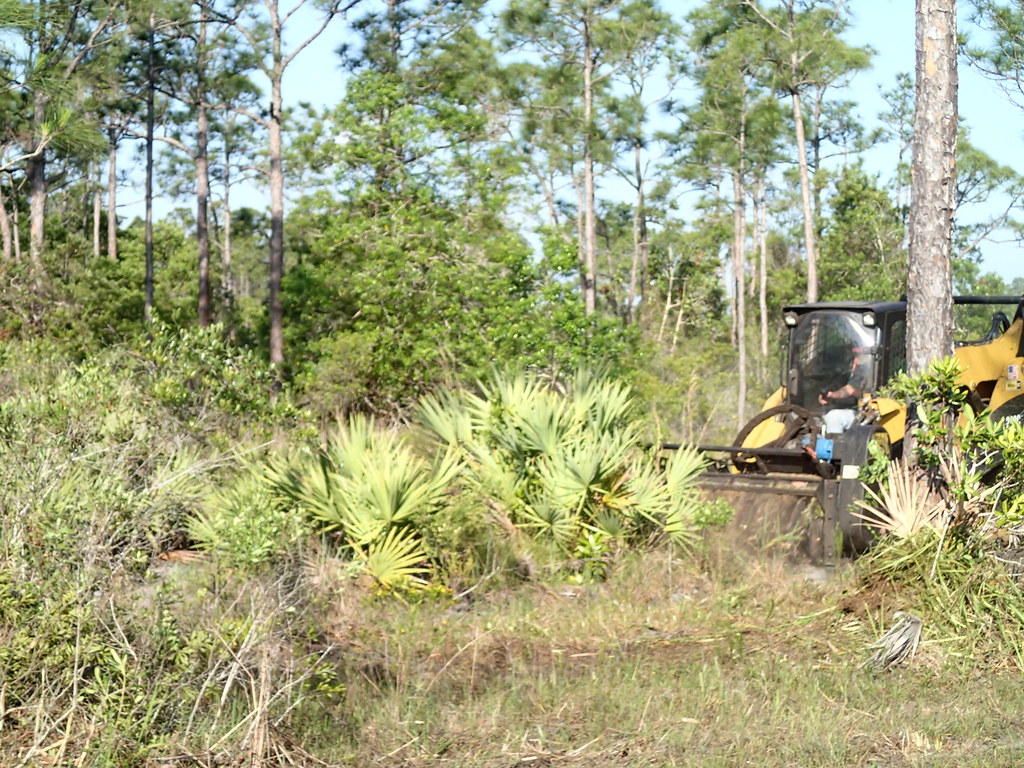Florida Land Clearing OLYMPUS DIGITAL CAMERA Flickr