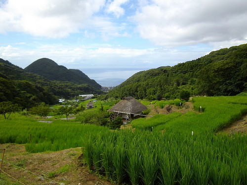 Terraced Rice Fields in Ishibu Webpage (in Japanese) izuna… Flickr