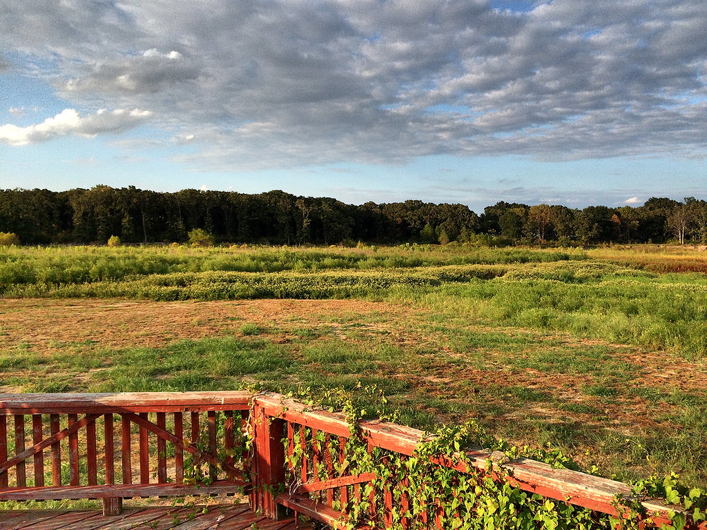 West Tawakoni DeeAshley Flickr