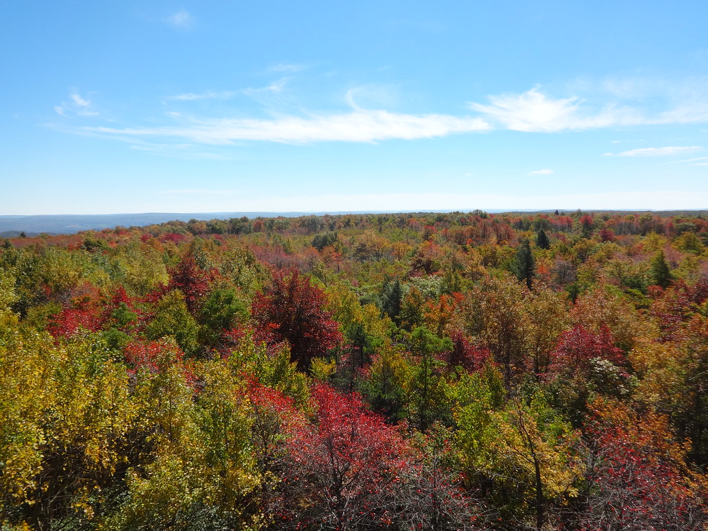 Mt. Davis PA Mount Davis Lookout, Somerset County Pennsylv… Flickr