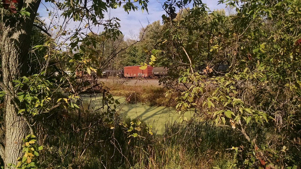 CSX Mohawk Subdivision Taken at Saintsville Rd., Kirkville… Flickr