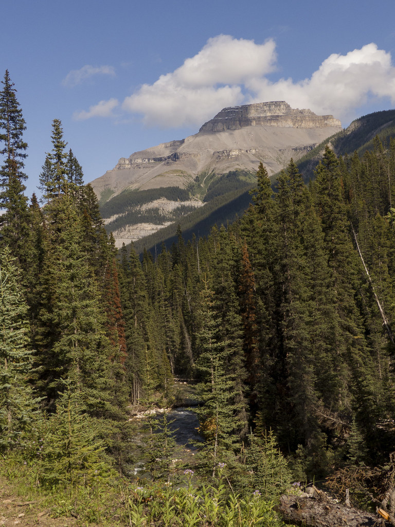 Redearth Creek Banff National Park Felipe..Alvarez Flickr