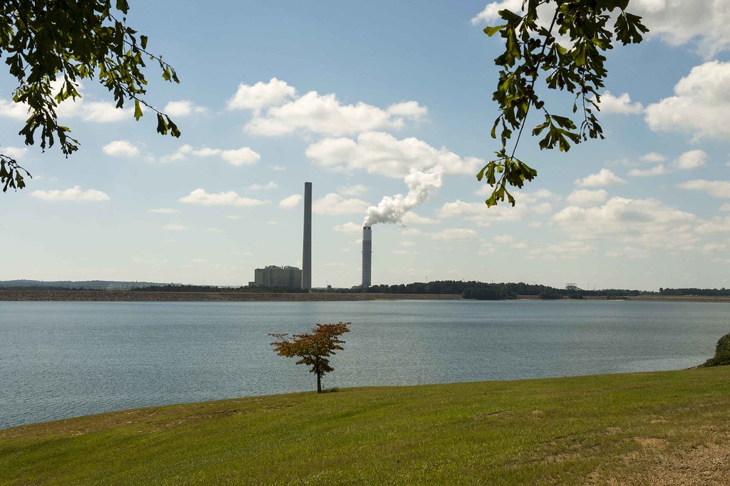 PLNwan00031 Plant Wansley Mike Staples Flickr